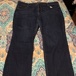 American Eagle Skinny Jeans Women’s Plus Size 24